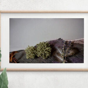 Limited edition prints